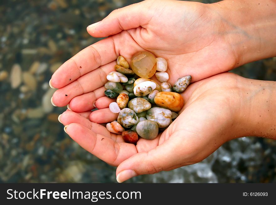 Closeup of female hands holding set of colored sea shells. Closeup of female hands holding set of colored sea shells