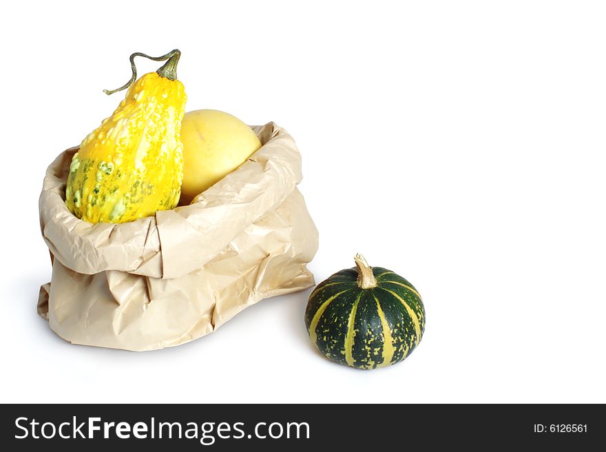 Some miniature pumpkins in paper bag. Some miniature pumpkins in paper bag.