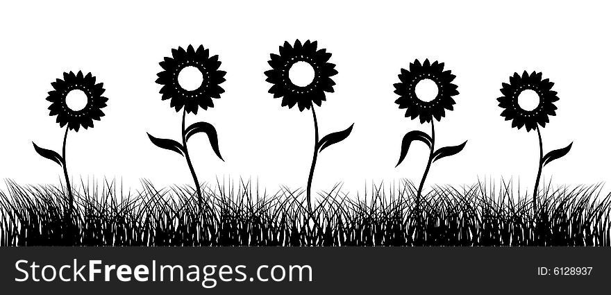 Sunflower on field, black silhouette, illustration