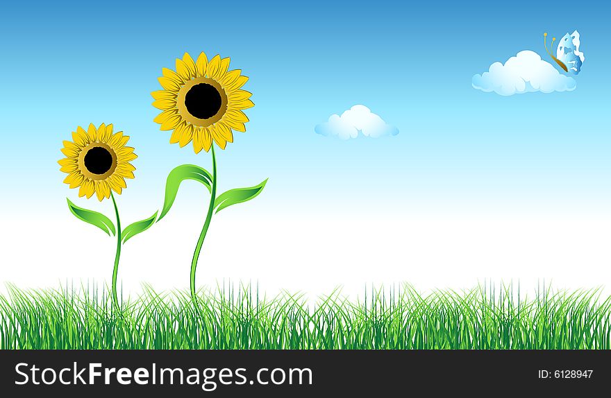 Sunflower on green field, vector illustration