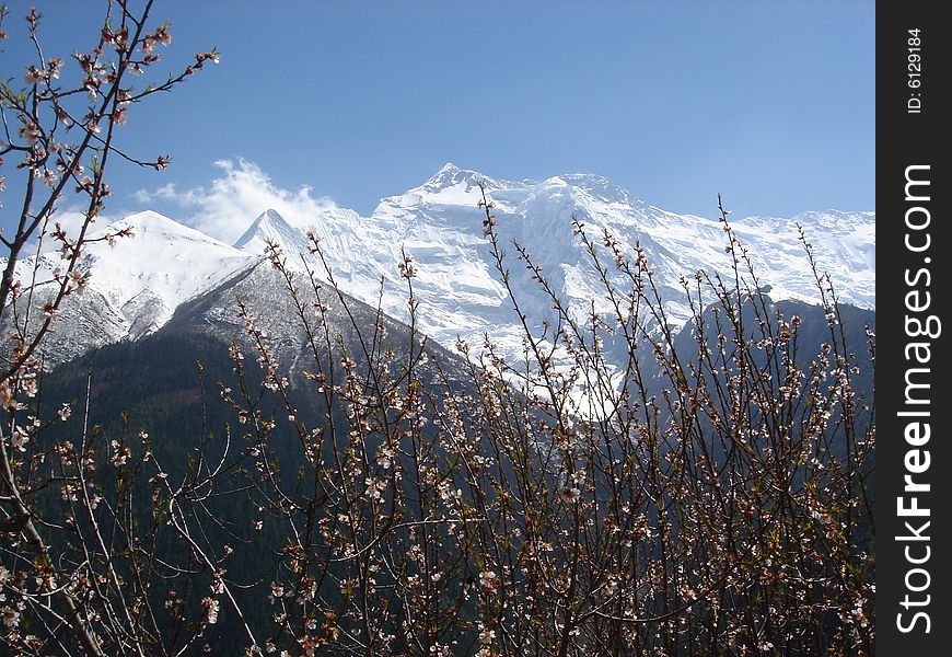 Spring Annapurna