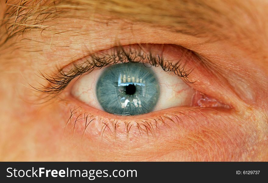 Blue eye of an adult man