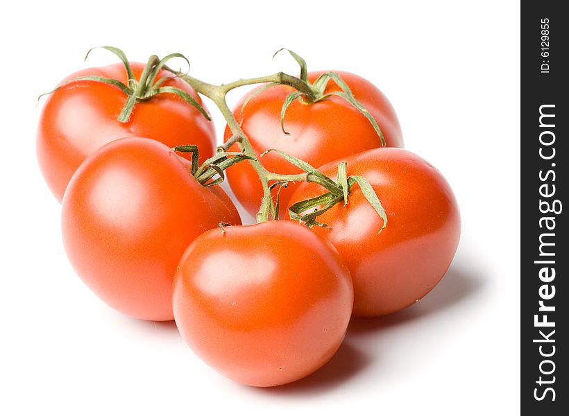 Fresh tomatoes on a white background