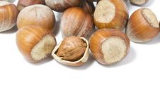 Hazel Nuts Royalty Free Stock Photo Hazel Nuts Royalty Free Stock Photo