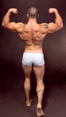 Back Double Biceps Stock Image