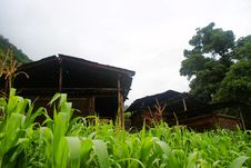 Cottage Of The Nu Nationality Stock Photography Cottage Of The Nu Nationality Stock Photography