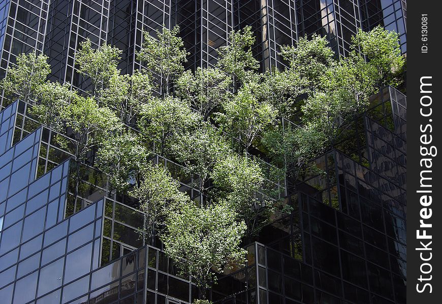 Trees growing on a skyscraper in Manhattan, New York City. Trees growing on a skyscraper in Manhattan, New York City.