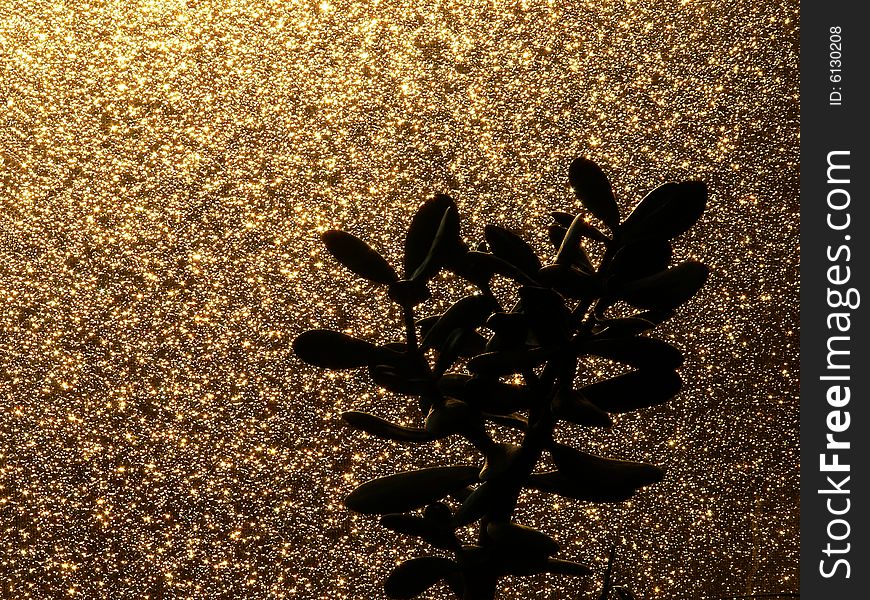 Golds patches of light, a background dark, a branch, a plant, leaves