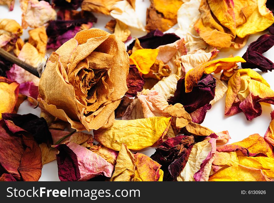 Dried flower petals