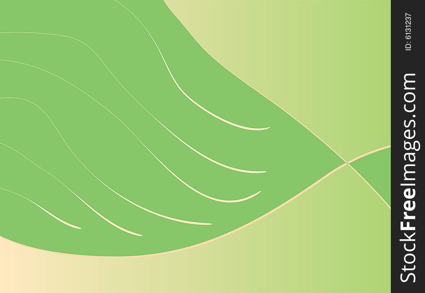 A vector illustration of a leaf background