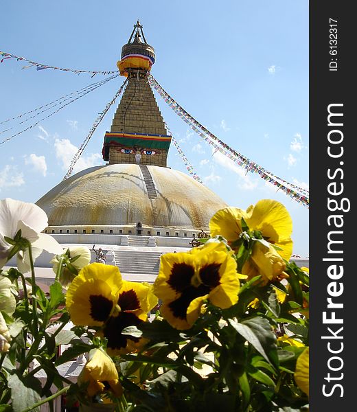 Bouddhnath stupa is the biggest stupa in Nepal in terms of the height and expansion.