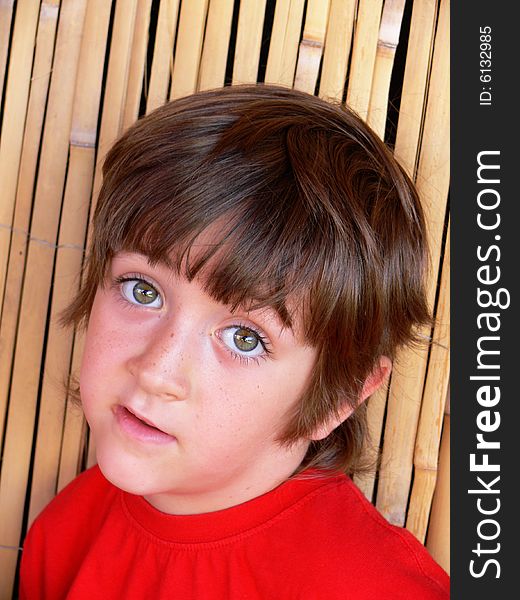 The little boy - portrait - in color. The little boy - portrait - in color