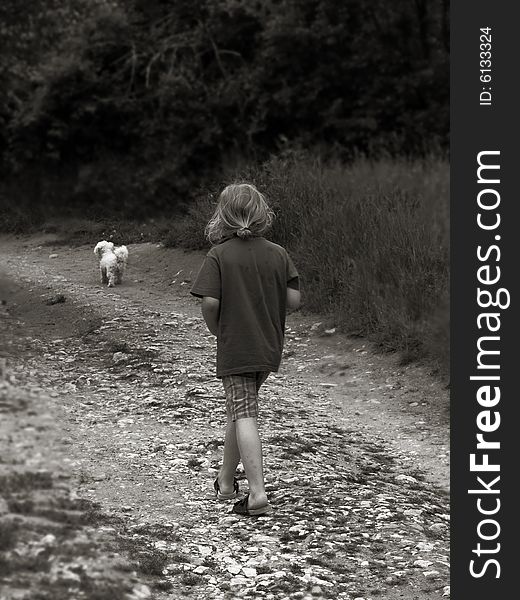 The child is walking  his dog - the photo is toned. The child is walking  his dog - the photo is toned