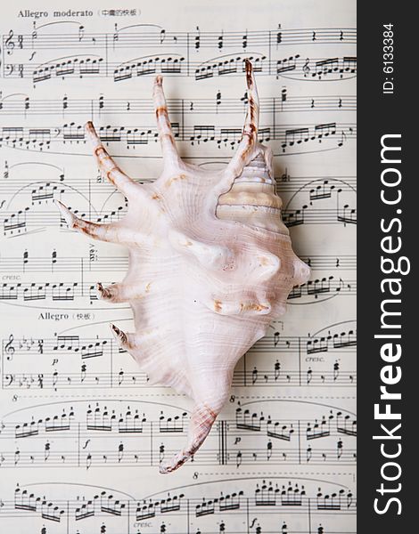 Shell on music Music score book