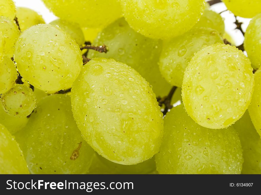 Wet grapes close up shot