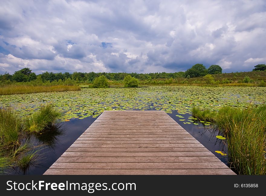 Pond covered with lilies with a pier and some dark rain clouds in the back. Pond covered with lilies with a pier and some dark rain clouds in the back