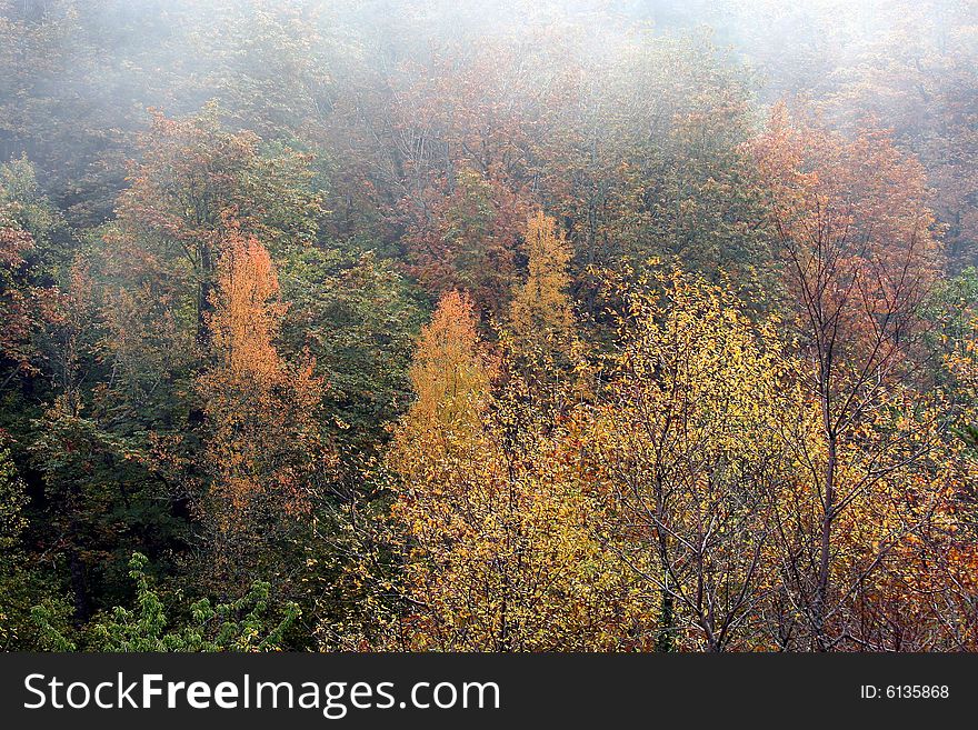 Foggy autumn day in montains. Foggy autumn day in montains