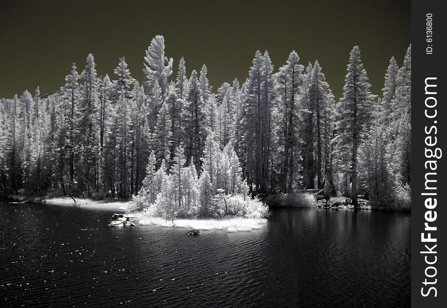 View of lake  in california mountains. View of lake  in california mountains