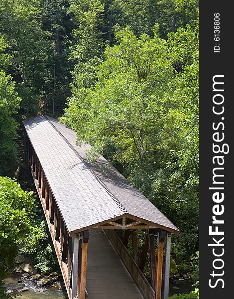 Old Covered Bridge in Trees