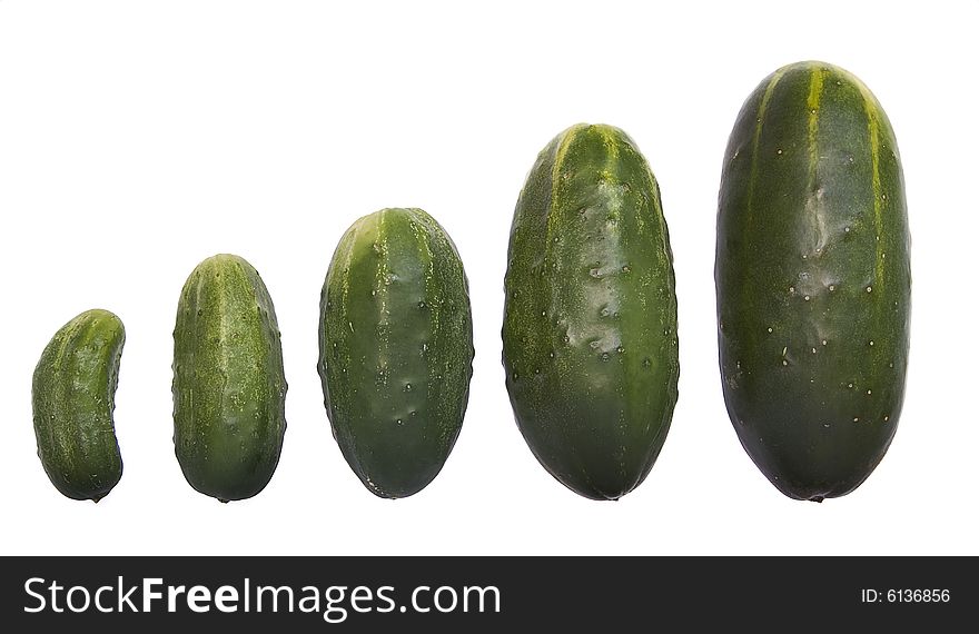 Small to large five fresh cucumbers lined up like a financial chart, isolated on white background. Small to large five fresh cucumbers lined up like a financial chart, isolated on white background