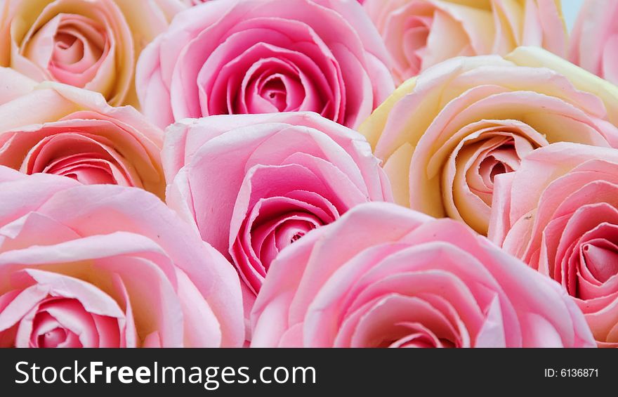 A close up shot of some pretty silk flowers