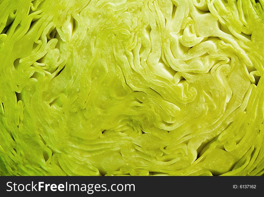 Close up of a cabbage cut