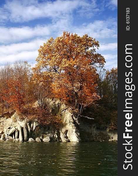 Autumn trees and bushes on background of blue sky. Autumn trees and bushes on background of blue sky