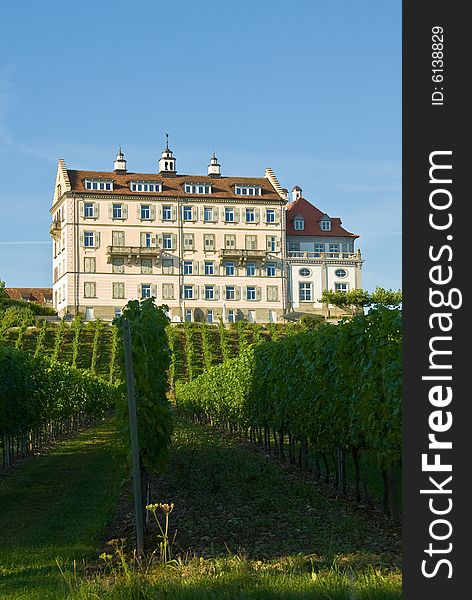 Winery at the lake of constance, germany