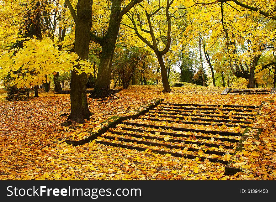 City park with bright yellow leaves on sunny autumn day. City park with bright yellow leaves on sunny autumn day