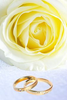Rings And Rose Royalty Free Stock Photos Rings And Rose Royalty Free Stock Photos