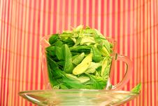 Green Tea Freshness Stock Photography Green Tea Freshness Stock Photography