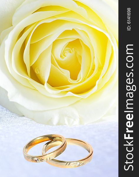 Wedding rings and rose on grey background