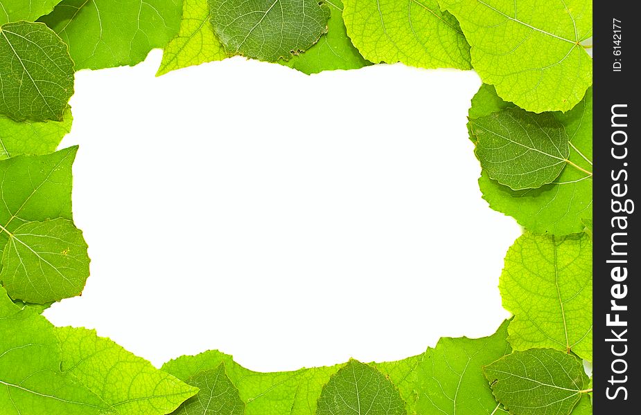 Leaves frame isolated on white