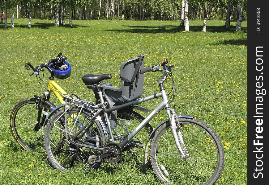 Two bicycles on a glade