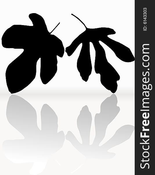 Silhouettes of leaves, Ficus carica, black on white