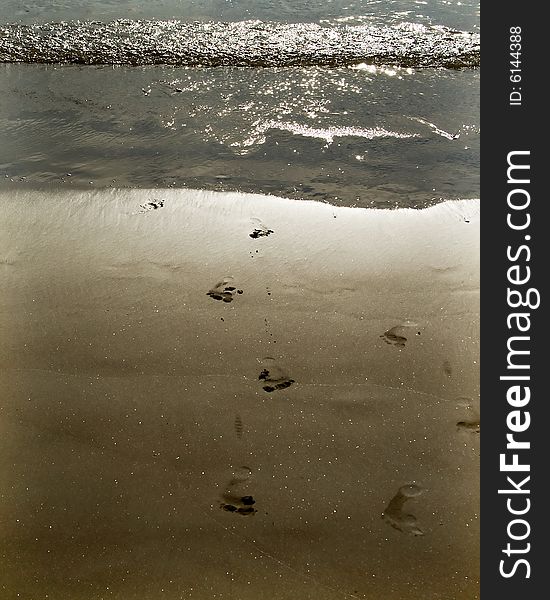 Footprints in beach sand with tide coming in. Footprints in beach sand with tide coming in