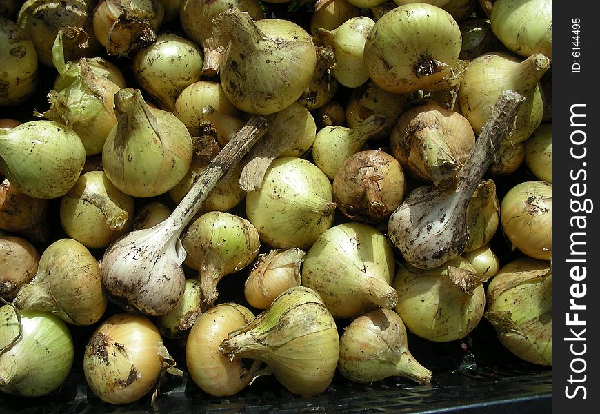 Onion and Garlic on a dark background. Onion and Garlic on a dark background