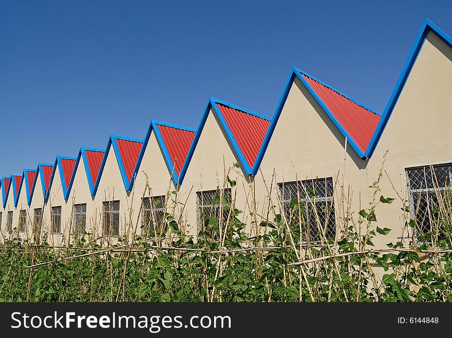 Red roof house