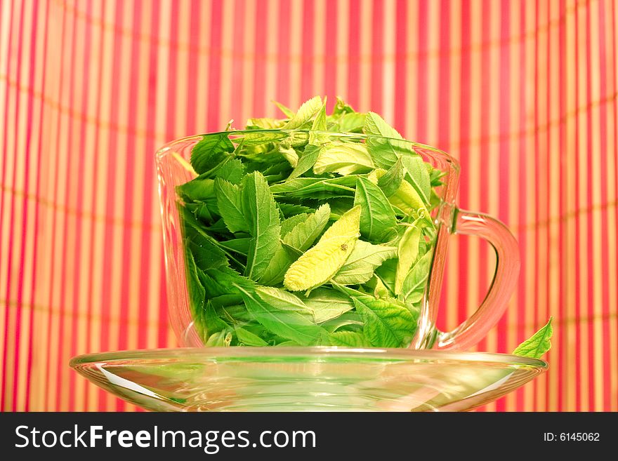 Green tea freshness. Cup full of leaves. Natural Drink.