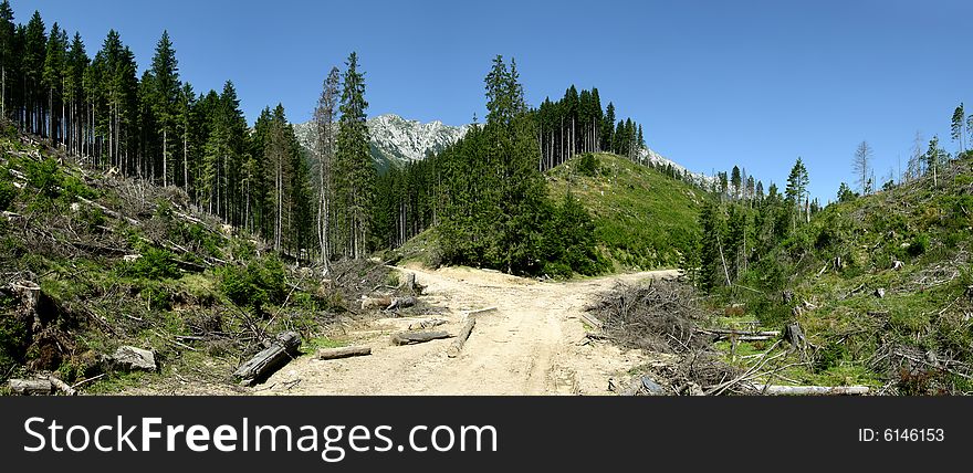 Unpaved road in Piatra Craiului mountains (Romania), in the middle of a deforestation (National Park of Piatra Craiului). Unpaved road in Piatra Craiului mountains (Romania), in the middle of a deforestation (National Park of Piatra Craiului)