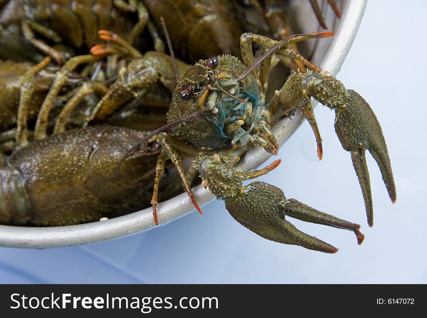 Crayfish Looks out of a dish