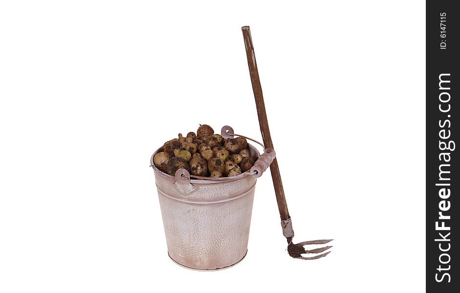 Pail full of potatoes and hoe isolated on white background