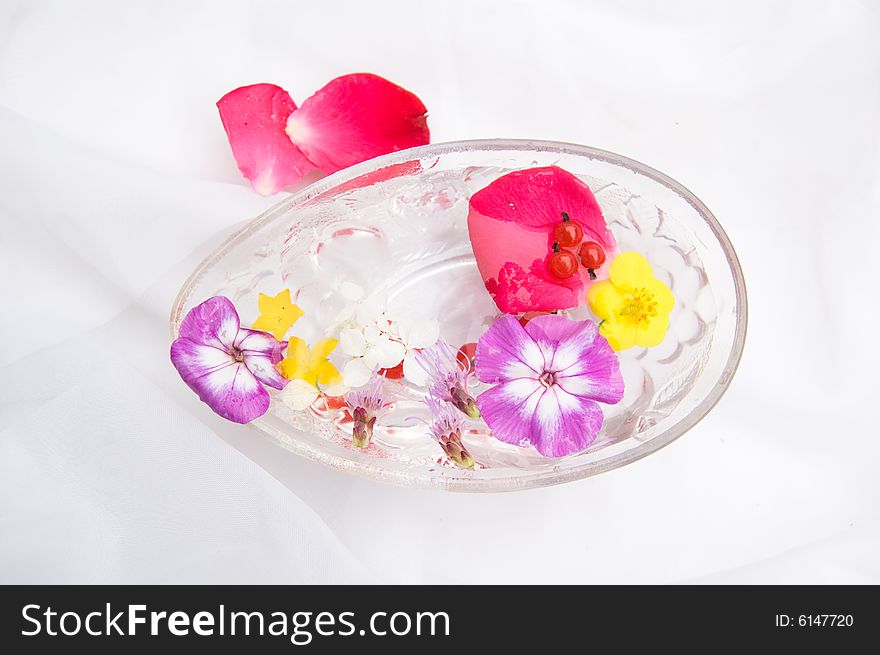 In vase with water some different flowers and berries, white background. In vase with water some different flowers and berries, white background