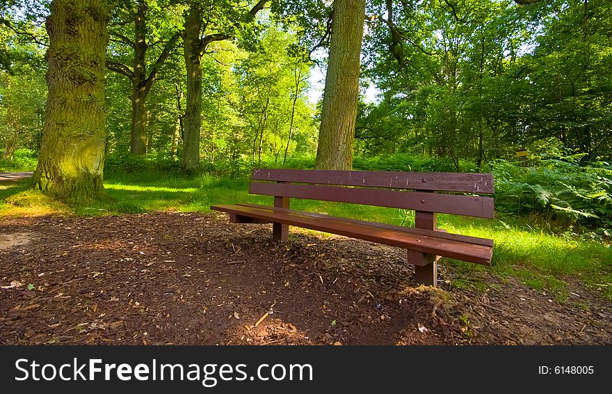 Parkbench in the middle of a bright green forest. Parkbench in the middle of a bright green forest