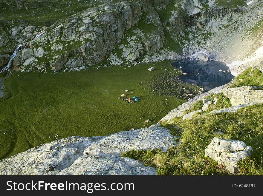 Crocus meadow in Caucasian mountains