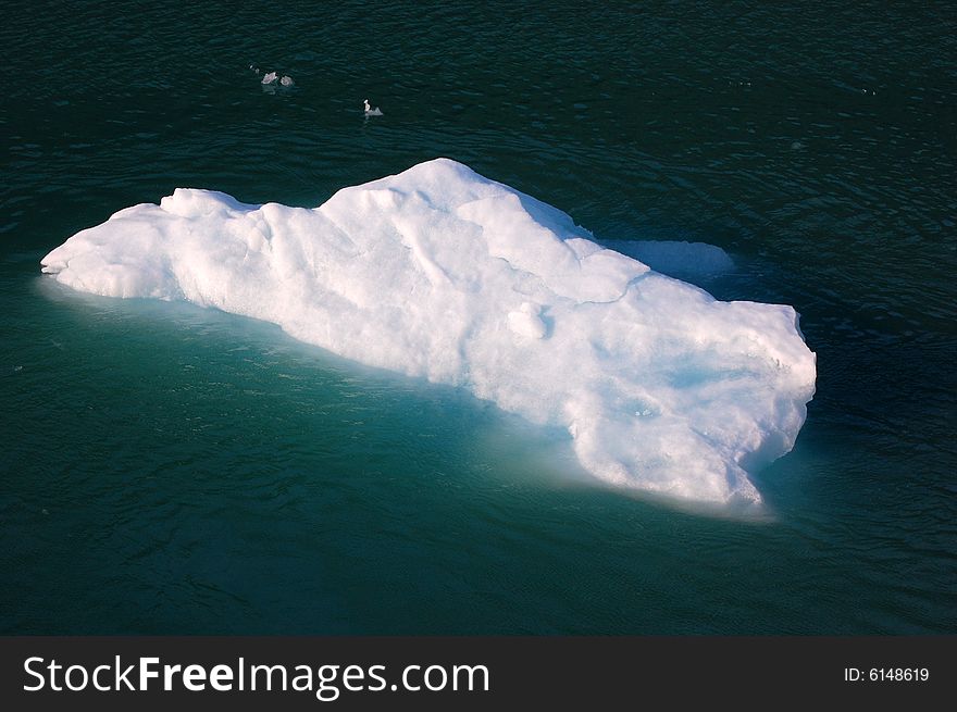 Iceberg floating on a river of alaska