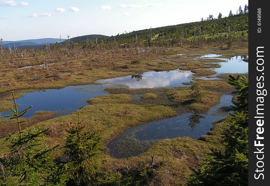 You will find these moors only in Sumava-Bavaria national park. You will find these moors only in Sumava-Bavaria national park.