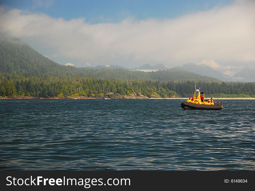 Wale watching on the shore line of Vancouver Island