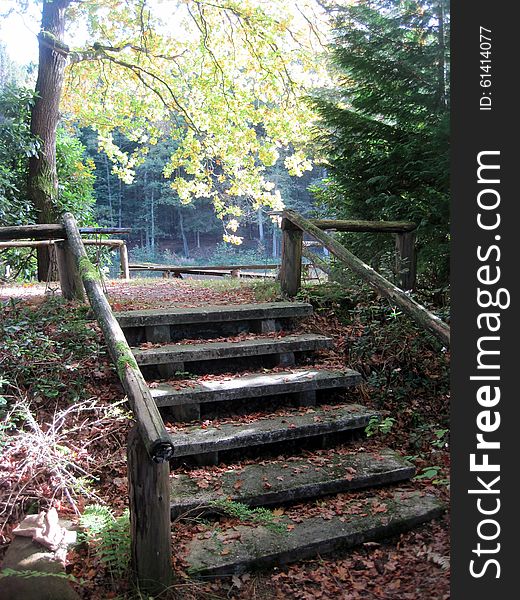 Beautiful autumn. yellow leaves on the stairs. romantic nature. Beautiful autumn. yellow leaves on the stairs. romantic nature