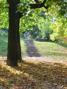 Autumn In The City Royalty Free Stock Photo Autumn In The City Royalty Free Stock Photo